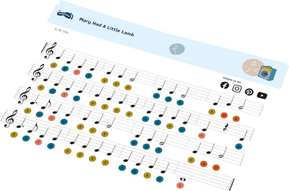 small foot Xylophone Groovy, Instrument for Kids, Wood, Sense of Rhythm/Beat, for Ages 18+ mths. Prod. 12254 Toys, Multicolored