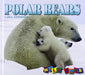 Polar Bears