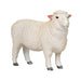 Mojo Farmland Romney Schaap Ram - 381063