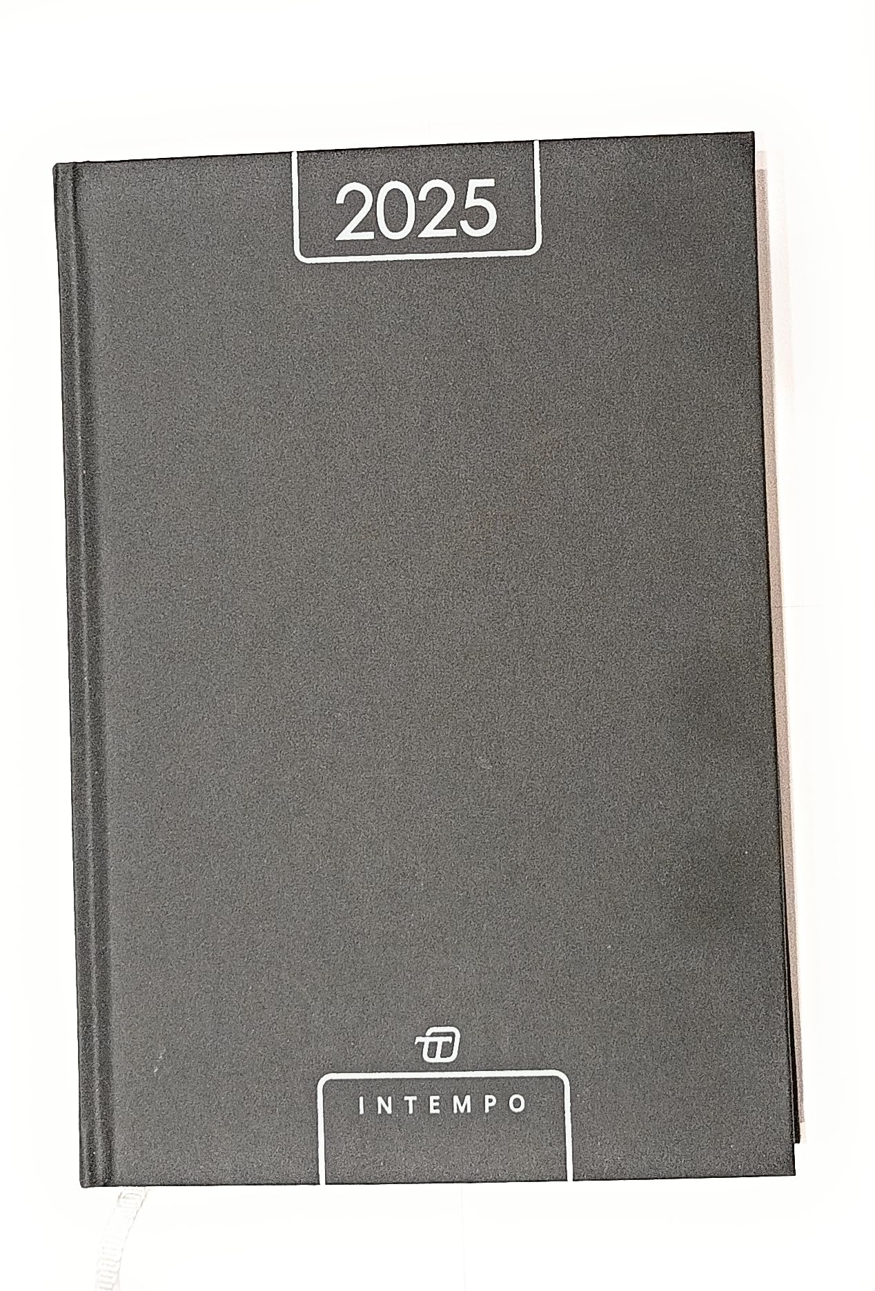 Agenda giornaliera 2025 Intempo (cm. 21x 14) Nero