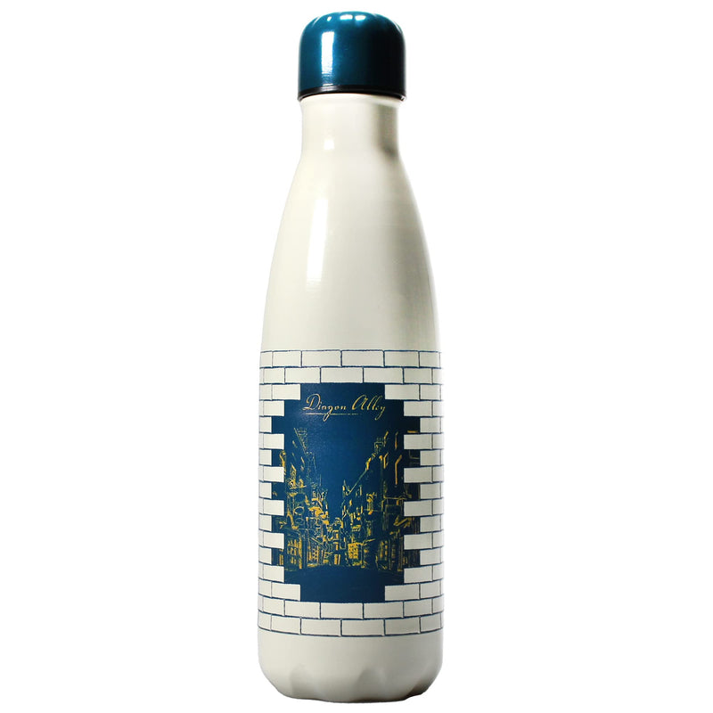 Harry Potter Water Bottle - Metal - 500ml - Diagon Alley Bottle - Reusable Bottles