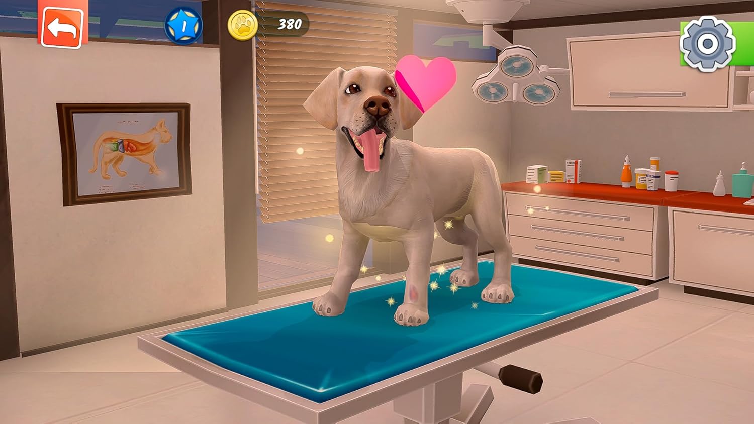 Dierenziekenhuis (PS4