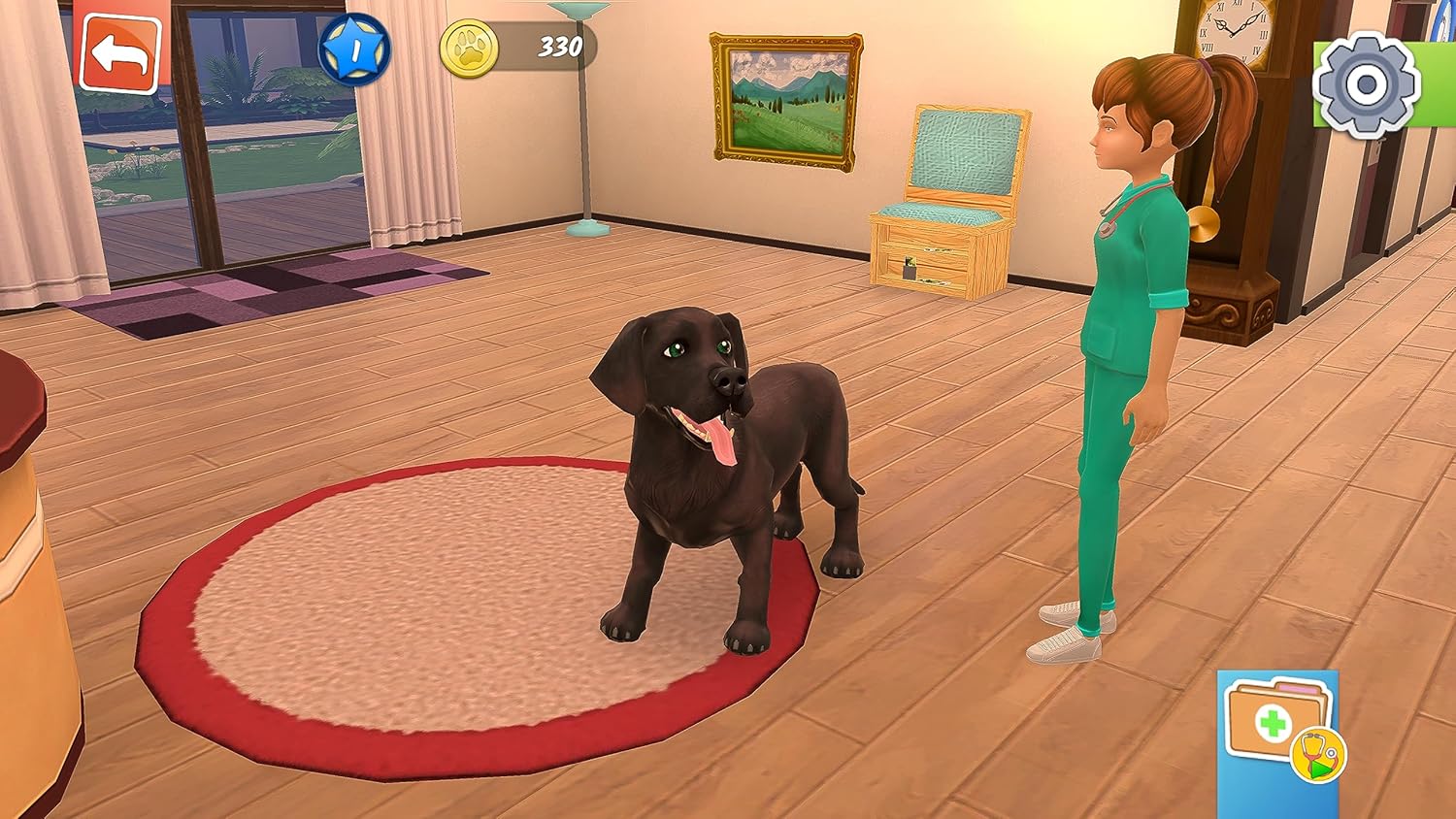 Animal Hospital