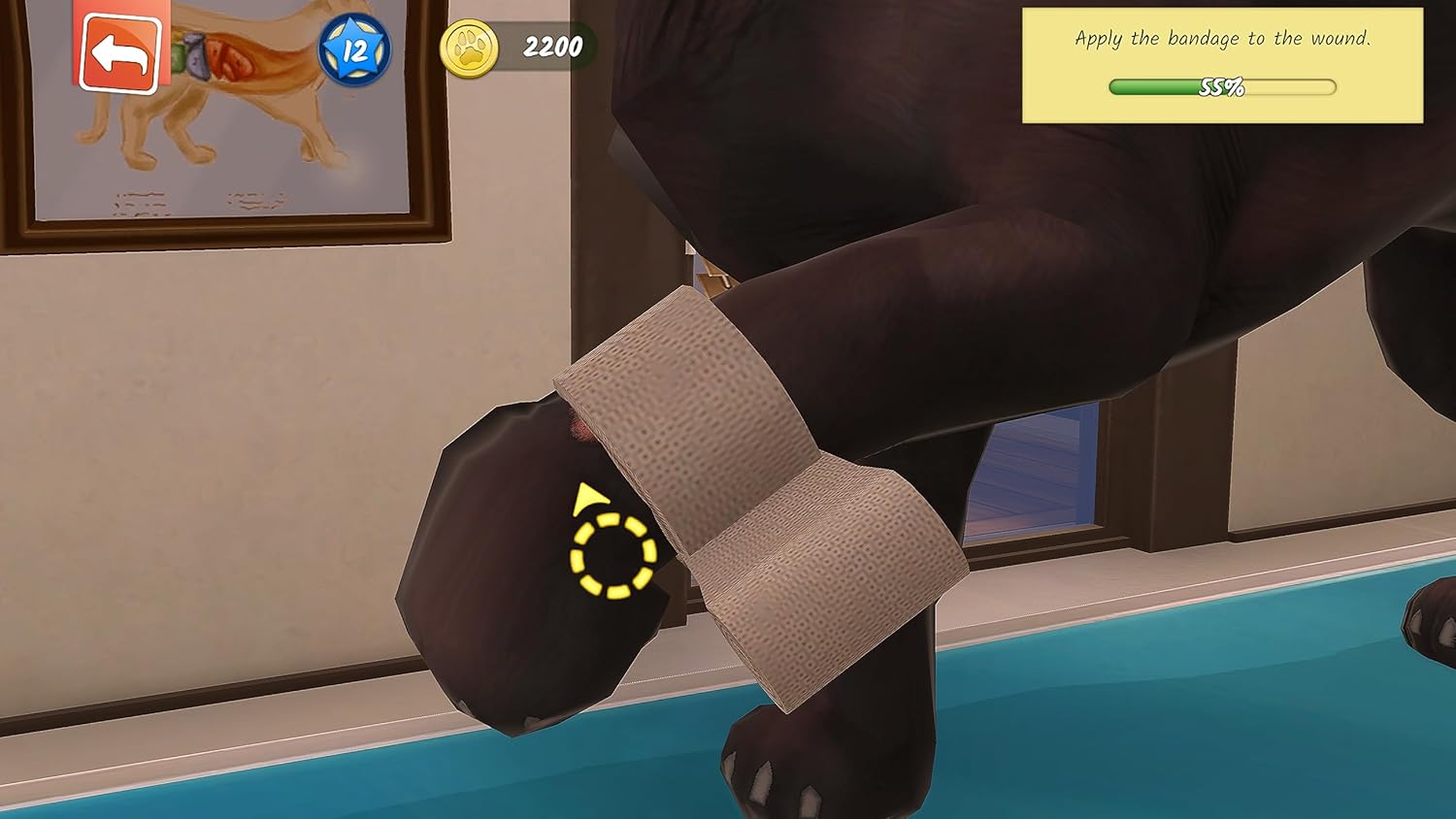 Animal Hospital