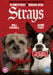 Strays