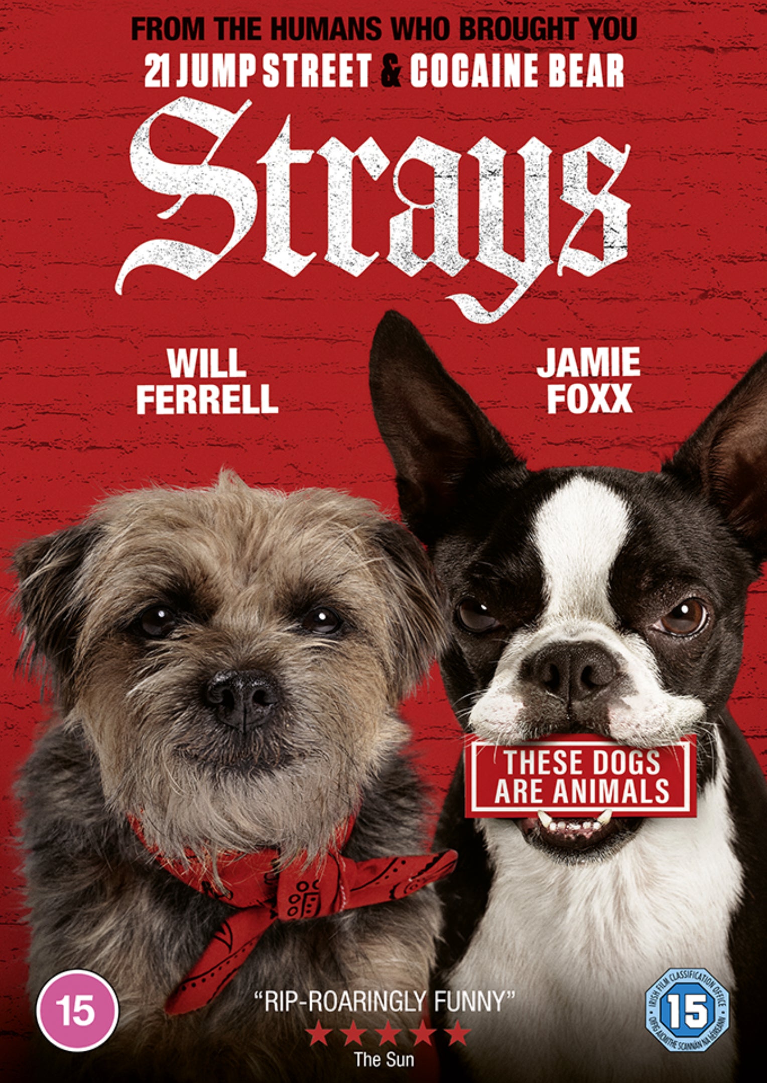Strays