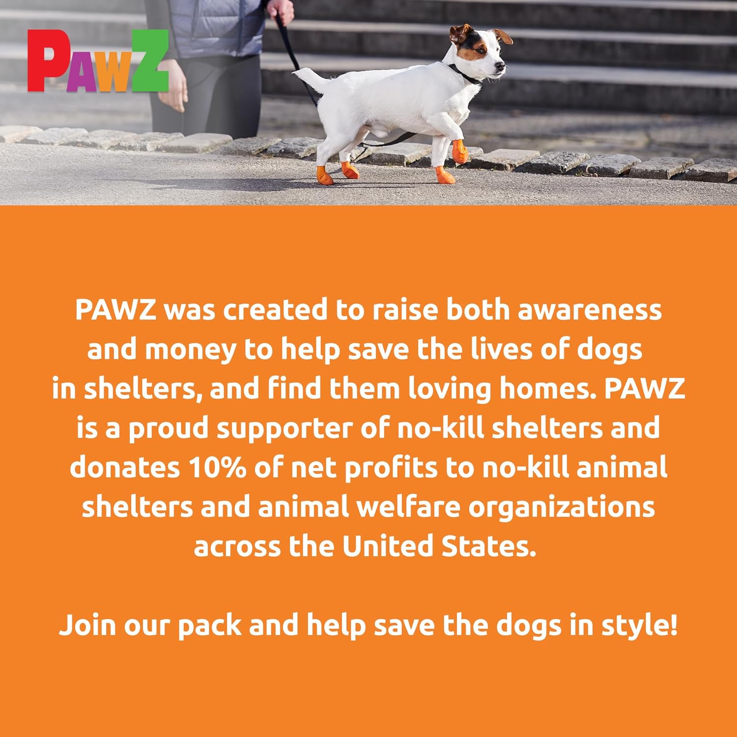 Pawz Dog - Dog Boots Oranges