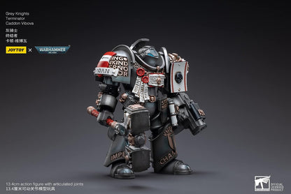 Bloomage Joytoy Tech Joytoy Warhammer 40.000 Grey Knights Terminator Caddon Vibova 1/18 Figur (Netz