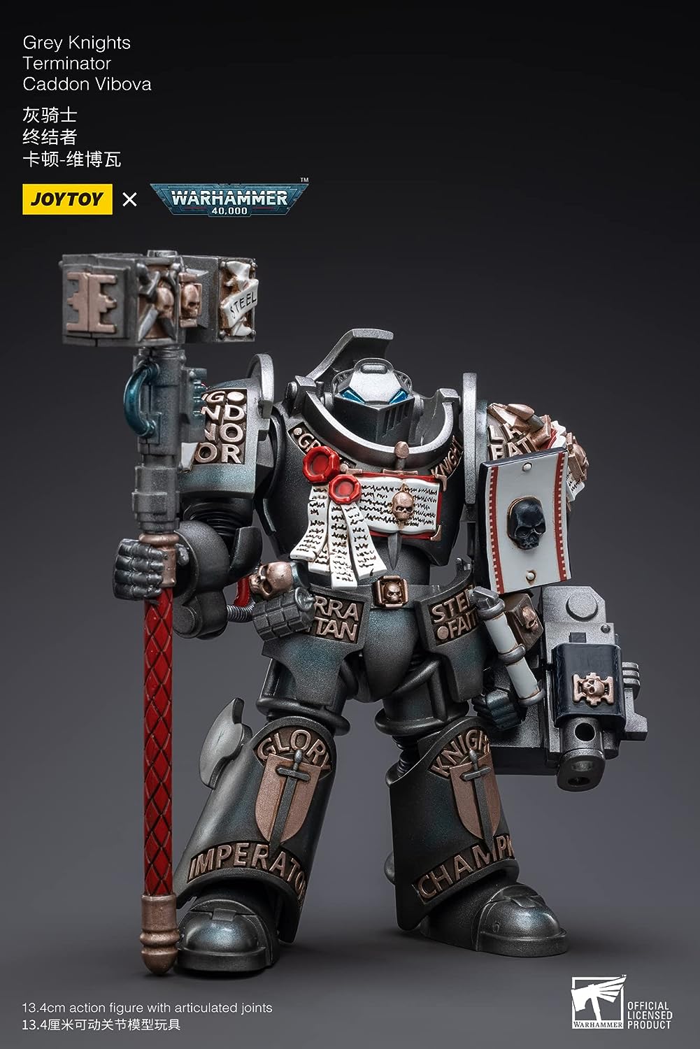 Bloomage Joytoy Tech Joytoy Warhammer 40.000 Grey Knights Terminator Caddon Vibova 1/18 Figur (Netz