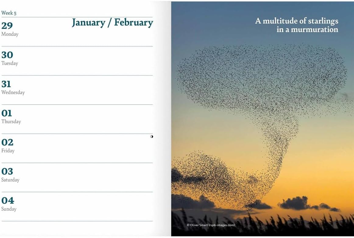 CAROUSEL CALENDARS RSPB Deluxe Diary 2024
