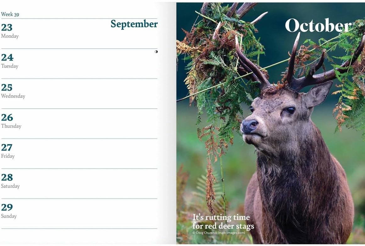 CAROUSEL CALENDARS RSPB Deluxe Diary 2024