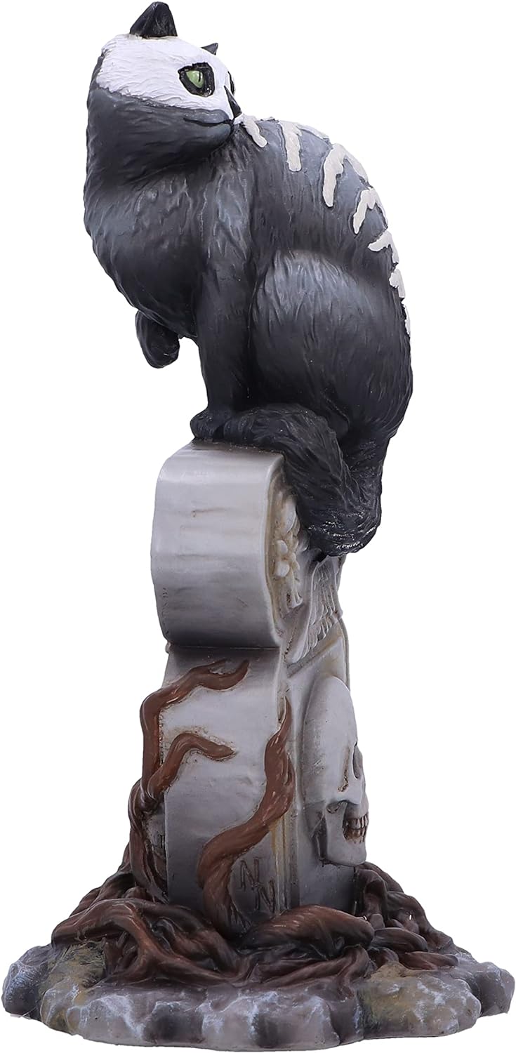 Nemesis Now Skull Cat by Martin Hanford 15cm, Resin, Gothic Cat Ornament, Cat Figurine; From the Complex Mind of Martin Hanford, Cast in the Finest Resin, Hand-Painted
