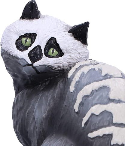 Nemesis Now Skull Cat by Martin Hanford 15cm, Resin, Gothic Cat Ornament, Cat Figurine; From the Complex Mind of Martin Hanford, Cast in the Finest Resin, Hand-Painted