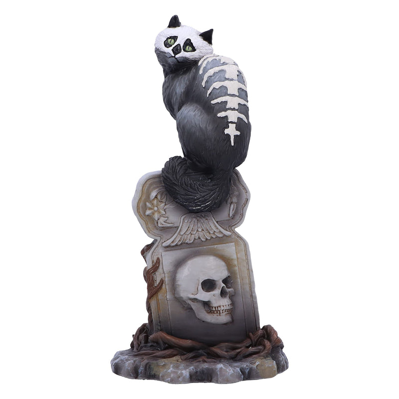 Nemesis Now Skull Cat by Martin Hanford 15cm, Resin, Gothic Cat Ornament, Cat Figurine; From the Complex Mind of Martin Hanford, Cast in the Finest Resin, Hand-Painted