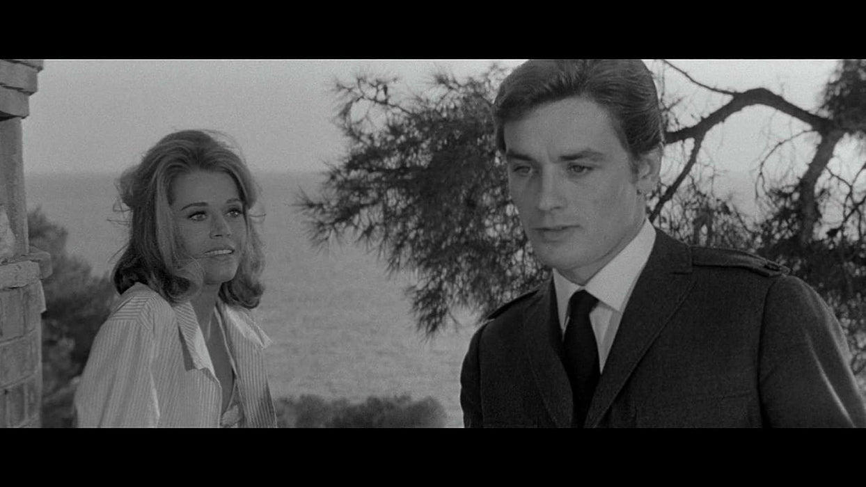 Wie Raubkatzen (Les félins) (Limited Edition)