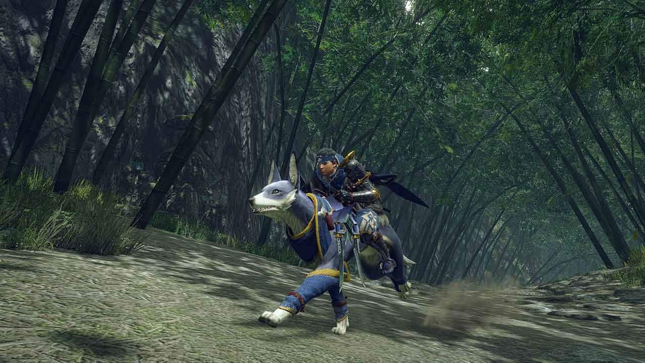 MONSTER HUNTER RISE Standard
