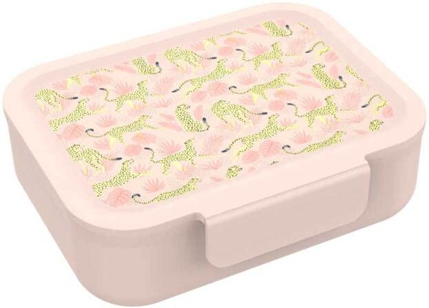 Lunch Buddies Lunchbox