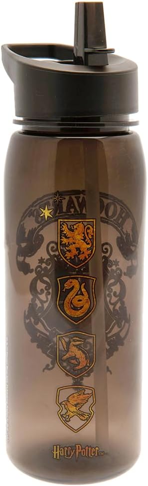 Harry Potter Flip Top Drinks Bottle