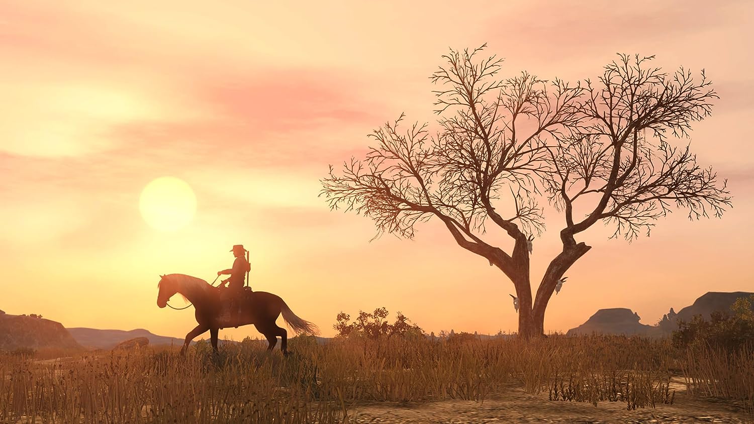 Red Dead Redemption PlayStation 4