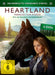 Heartland - Paradies für Pferde: Staffel 14