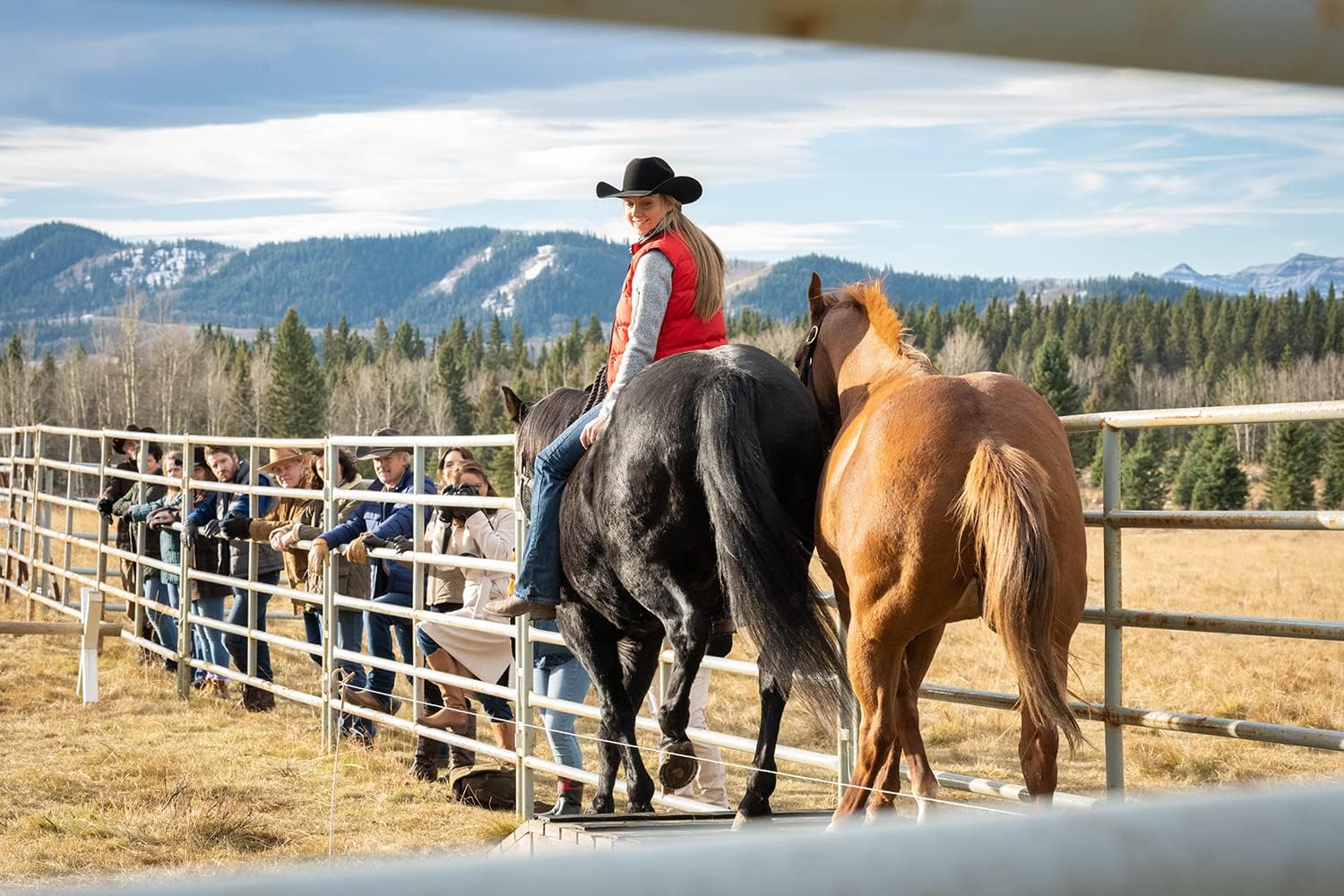 Heartland - Paradies für Pferde: Staffel 14