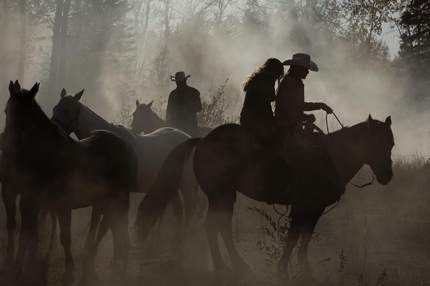 Heartland - Paradies für Pferde: Staffel 14