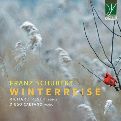 Winterreise d.911