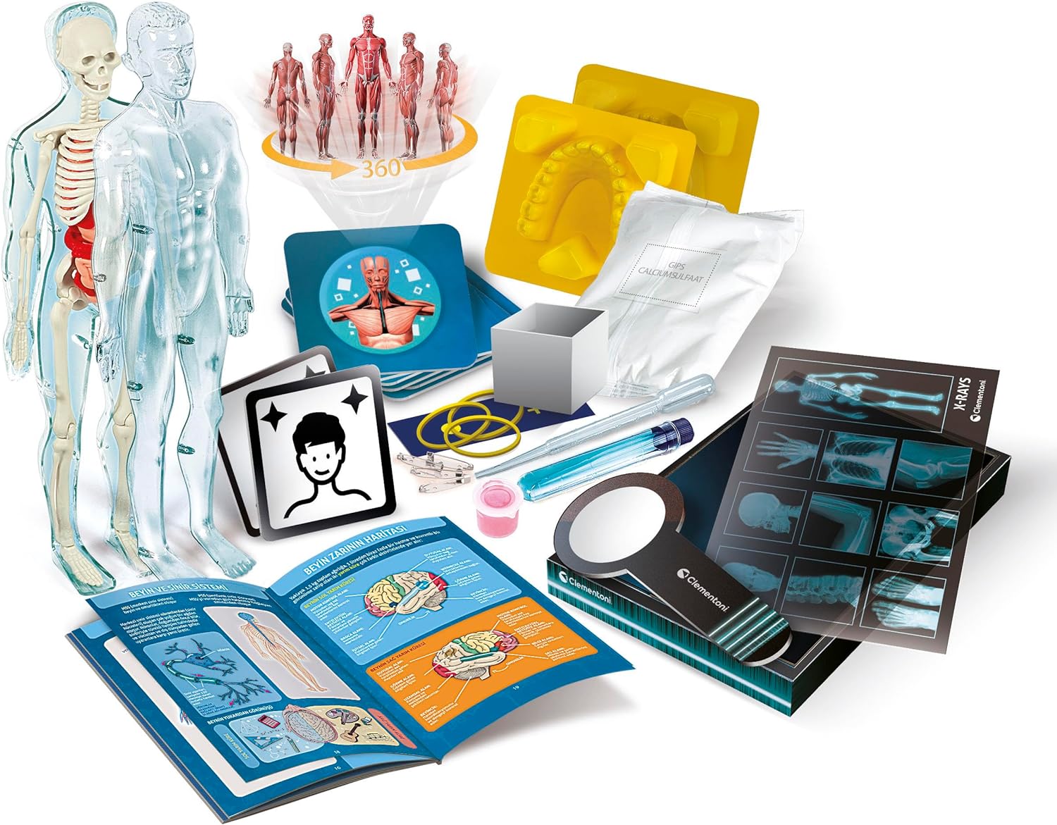 Clementoni - Science & Play - Super Anatomy (78826