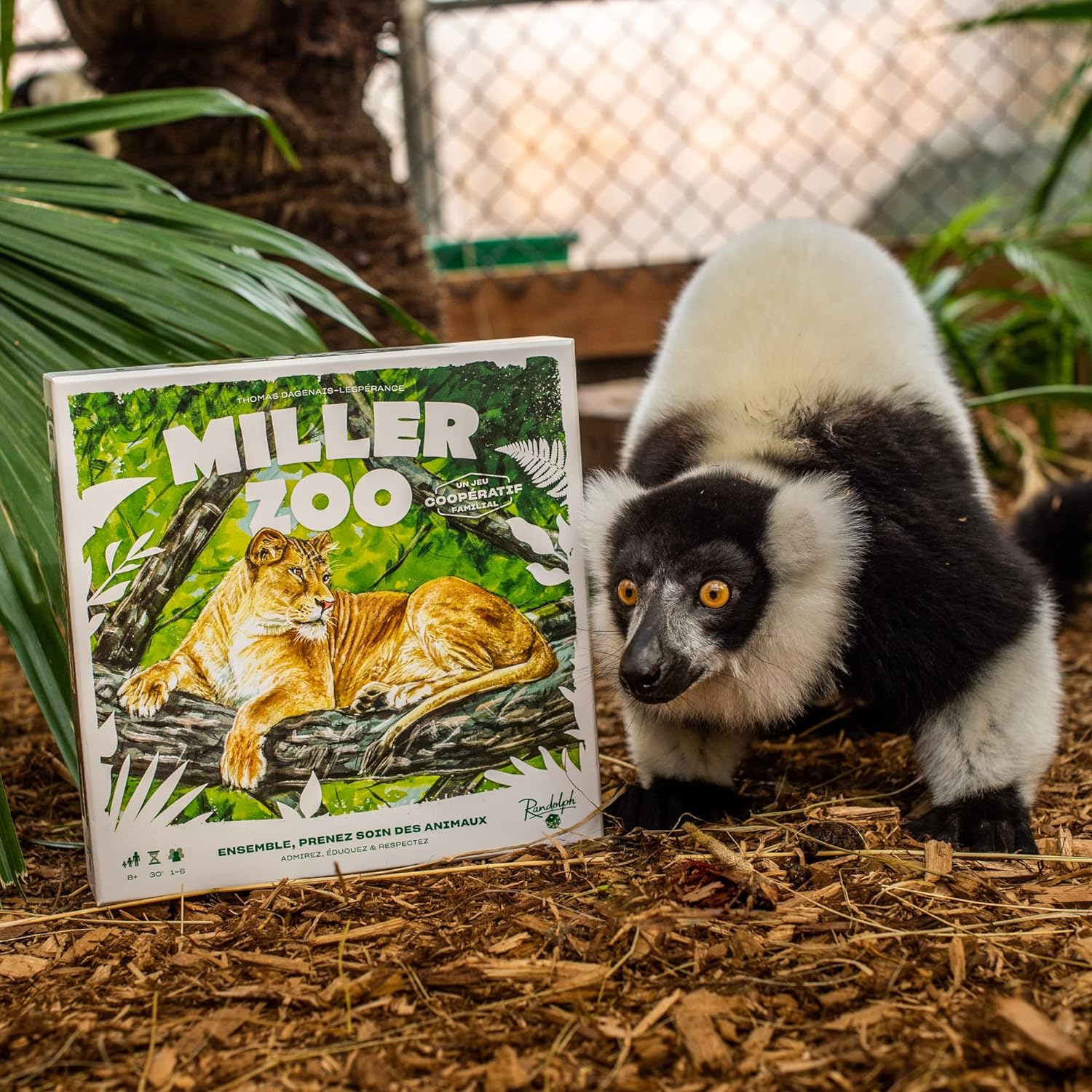 Randolph Miller Zoo | Cooperative Strategy Game for Families | Ages 8+ | 1 to 6 Players | 30 Minutes