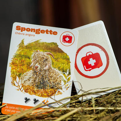 Randolph Miller Zoo | Cooperative Strategy Game for Families | Ages 8+ | 1 to 6 Players | 30 Minutes