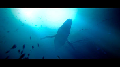 Under The Waves (Xbox One & Series