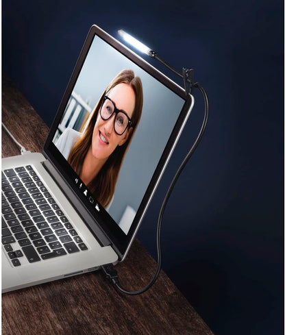 hama Schwanenhals USB-Licht