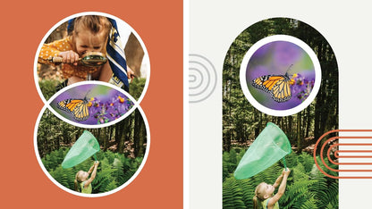 Adobe Photoshop Elements 2023|Standard |1 Gerät | PC/Mac | unbefristet | Box inkl. Aktivierungscode Aktivierungscode per Post Standard