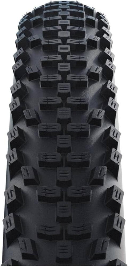 Schwalbe , 11159446
