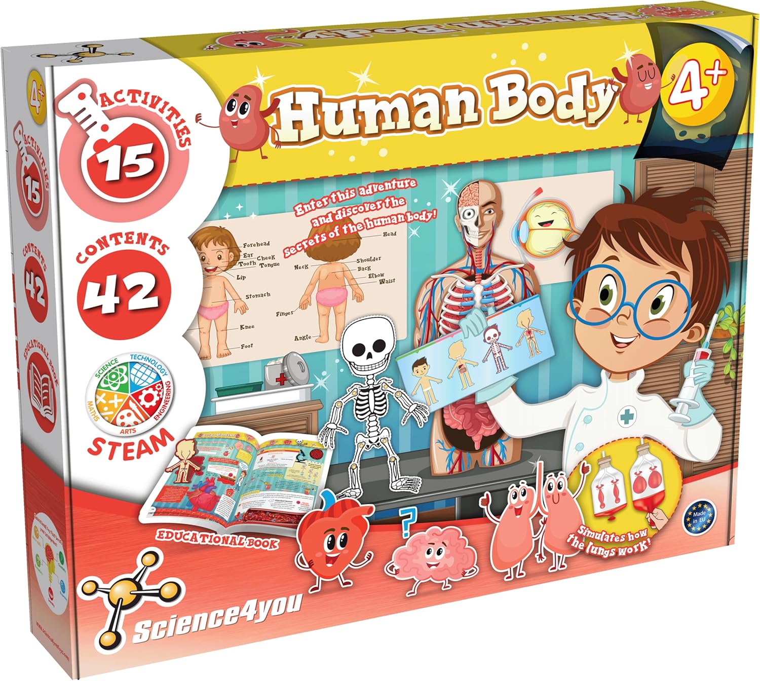 Human Body