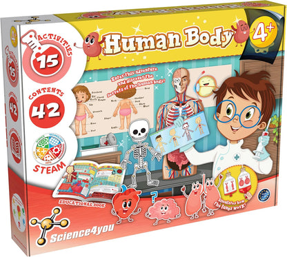 Human Body