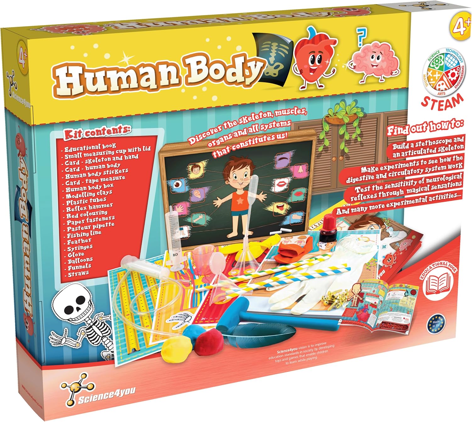 Human Body