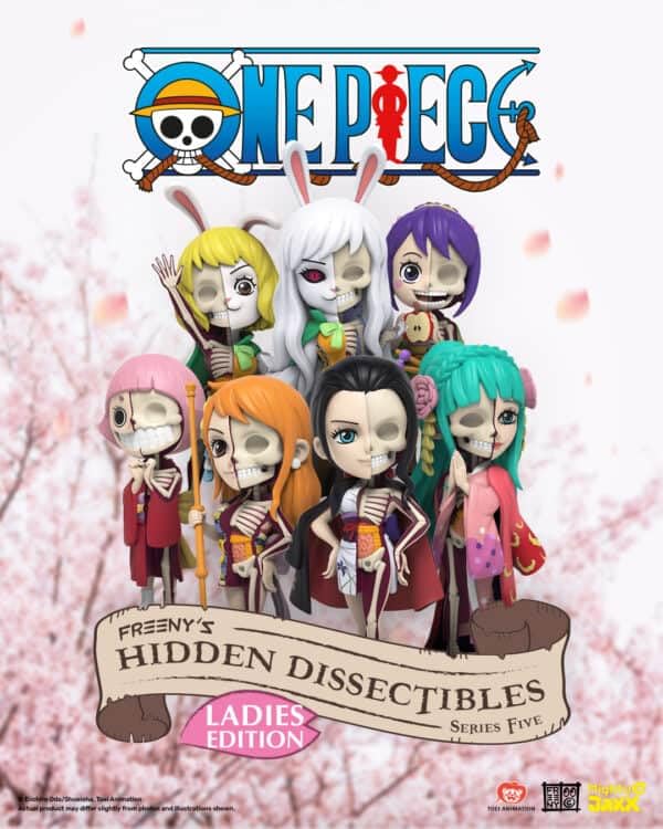 Mighty Jaxx Freeny's Hidden Dissectibles One Piece (Ladies Edition