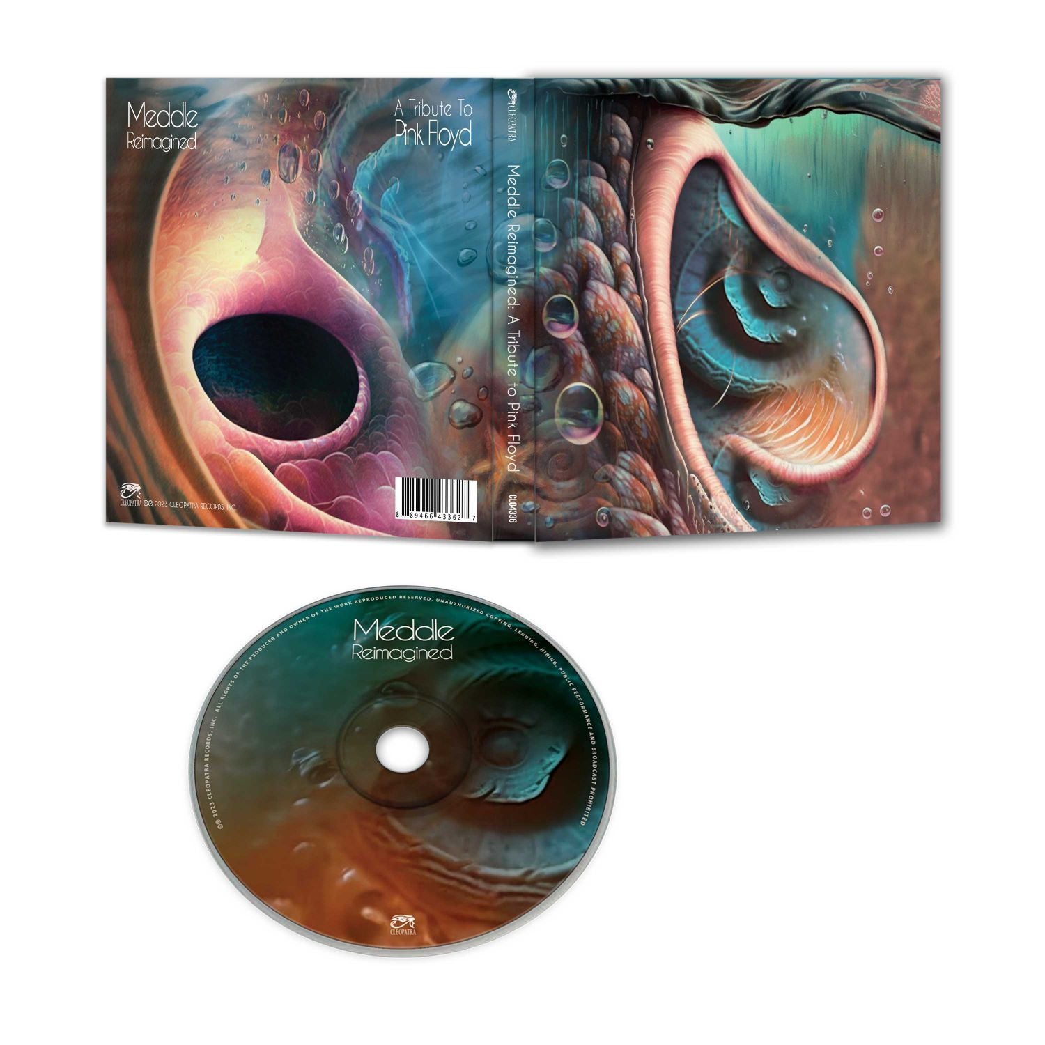 Meddle Reimagined: A Tribute to Pink Floyd