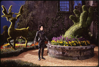 Edward aux mains d'argent