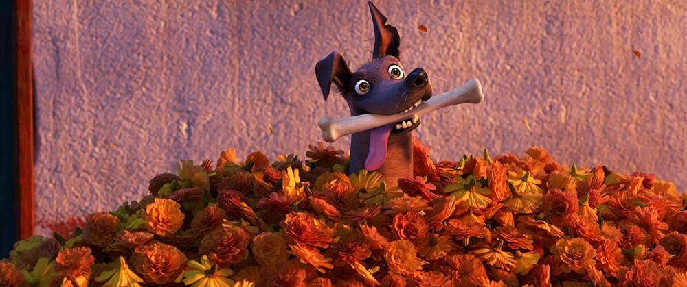 Coco