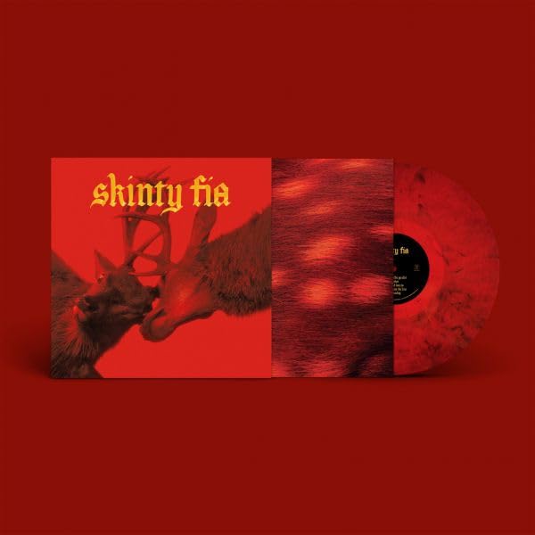 Skinty Fia
