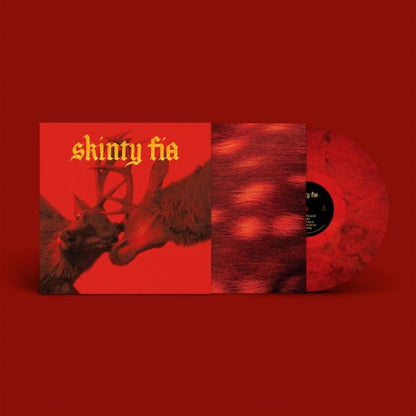 Skinty Fia