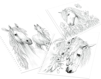 Depesche 12469 Miss Melody Special Colouring Book with 20 Dream Horses Designs for Colouring with Pencils or Freshwater Paint, Multi-Colour