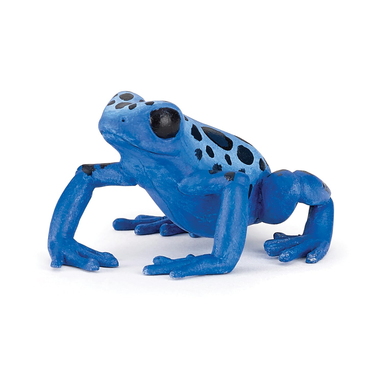 Papo- Grenouille équatoriale Bleue Animaux Figura, Dibujos Animados, Color Azul, Talla única (50175