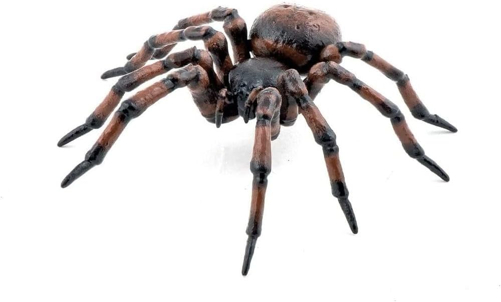 Papo - Hand painted - Animal Figures - Common spider - 50292 - Wildlife - Collectible - For Children - Suitable for Boys and Girls - From 3 years old