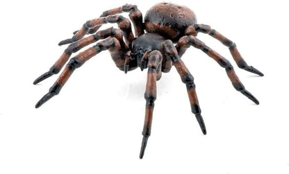 Papo - Hand painted - Animal Figures - Common spider - 50292 - Wildlife - Collectible - For Children - Suitable for Boys and Girls - From 3 years old