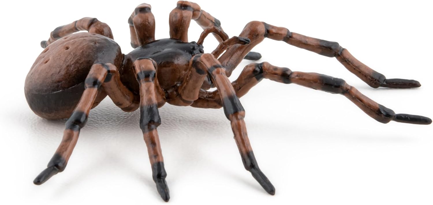 Papo - Hand painted - Animal Figures - Common spider - 50292 - Wildlife - Collectible - For Children - Suitable for Boys and Girls - From 3 years old