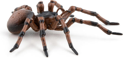 Papo - Hand painted - Animal Figures - Common spider - 50292 - Wildlife - Collectible - For Children - Suitable for Boys and Girls - From 3 years old