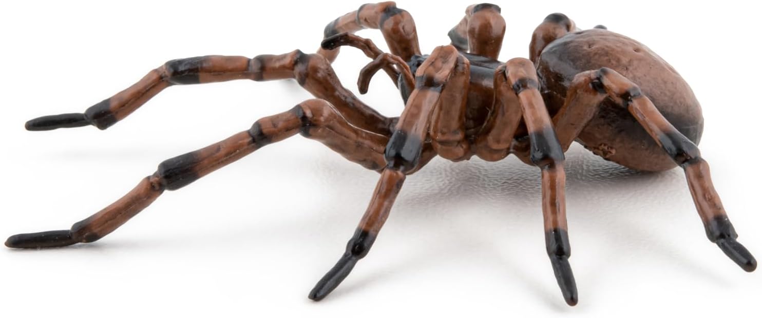 Papo - Hand painted - Animal Figures - Common spider - 50292 - Wildlife - Collectible - For Children - Suitable for Boys and Girls - From 3 years old